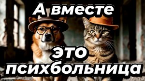 Пёс-это эмоции,кот-это осознанность.А вместе-это психбольница.🐕😂🔥