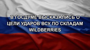 В Госдуме высказались о цели ударов ВСУ по складам Wildberries