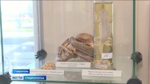 В Ставрополе работает выставка, посвященная опустыниванию и засухе