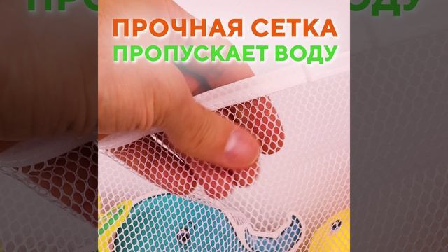 LP202446024