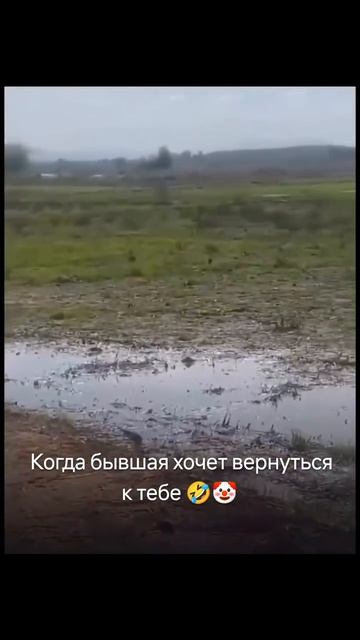 когда бывшая хочет вернуться)))
 #рек #прикол #юмор #рекомендации