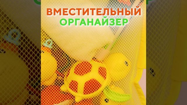 LP202444973