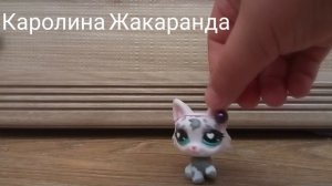 Заставка сериала плохие девчонки