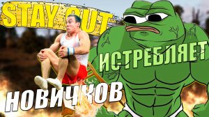 ДИКО ПОЛЫХАЕТ У КЕПКИ ОТ РАЗРАБОВ STAY OUT