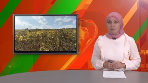 Биектау ТВ Выпуск от 28 07 2026