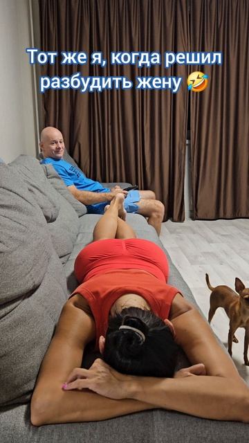 🤣🤣🤣