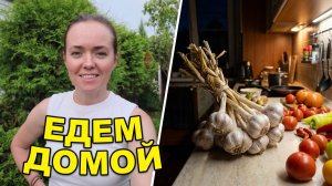 Кредит чесноком от папы и средство от слизней, опасно ли для собак