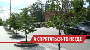 В Иркутске становится меньше мест, где можно спрятаться от солнца в жару
