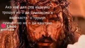спаси сахрани 📧