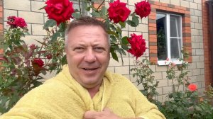 Жизнь вне орхидей. надо было РАНЬШЕ его поставить чтобы прошла ЖАРА а теперь буду МОРЖЕВАТЬСЯ