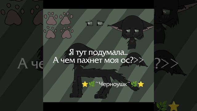 |Чем? 😋|Перезалив из лк, хы|#черноухая