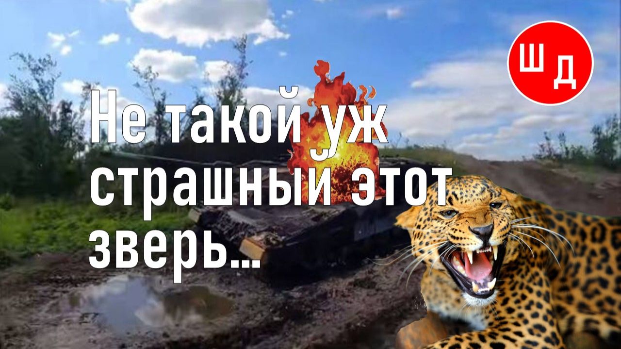 Не такой уж страшный этот зверь... Для Вас. Рекомендую. Новинка.