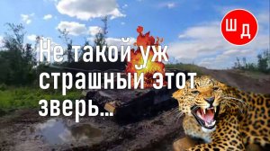 Не такой уж страшный этот зверь... Для Вас. Рекомендую. Новинка.