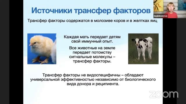 Как восстановить здоровье и какую роль в этом играет наша иммунная система
