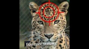 Дада....