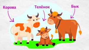 Домашние ЖИВОТНЫЕ и их ДЕТЕНЫШИ | Развивающие мультики для малышей