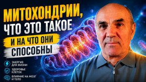 Анатолий Николаевич Глущенко, «Митохондрии, что это такое и на что они способны» (Видео 320)