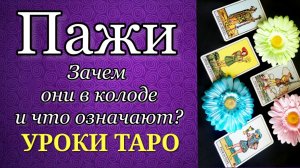 Пажи в таро. Ранг и масти пажей. Системные и НЕочевидные значения.