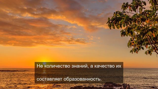 Просмотр уникальных видеороликов часть 4.