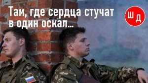 Там, где сердца стучат в один оскал ...  Для Вас. Рекомендую. Новинка.