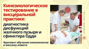 Кинезиологическое тестирование в висцеральном массаже: диагностика дисфункций желчного пузыря