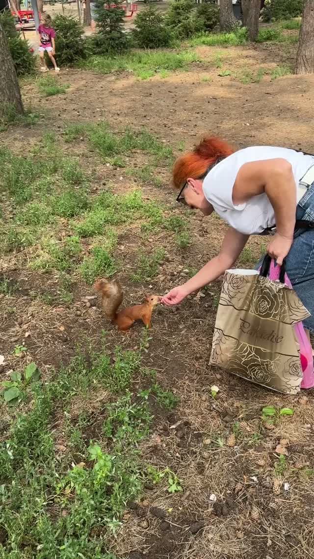 Ручные белочки в парке «Дельфин»