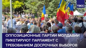 Оппозиционные партии Молдавии пикетируют парламент с требованием досрочных выборов