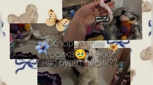 ОБЗОР УГОЛКА ПЕРСИКА🥹И ОККИ У НАС БУДЕТ ПËСИК🥹🥹НОВЫЙ МАХ УЖЕ В ОПИСАНИИ👇