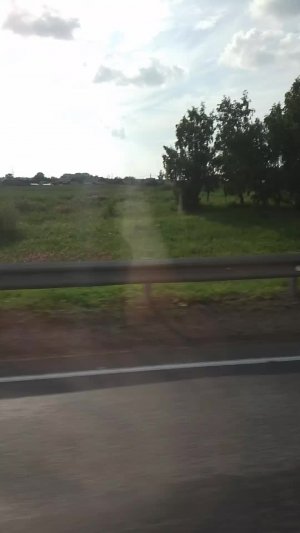 Стрим еду дамой