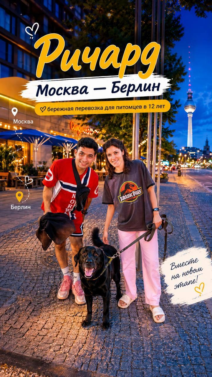 Можно ли безопасно перевезти 12-летнего лабрадора через несколько стран?