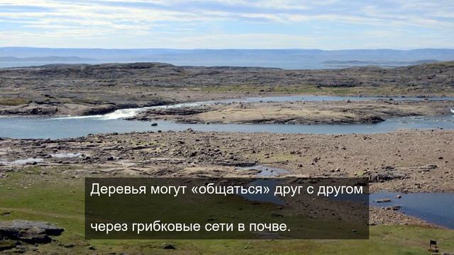 Просмотр уникальных видеороликов часть 16.