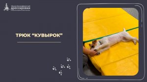 Трюк «Кувырок»