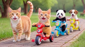 Мама-кошка подстригает шерсть на ферме и делает тигровую шапку для котят дома🐾🎩🐯