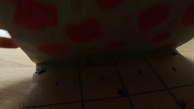 распаковка бумажных сюрпризов 🌷☺️