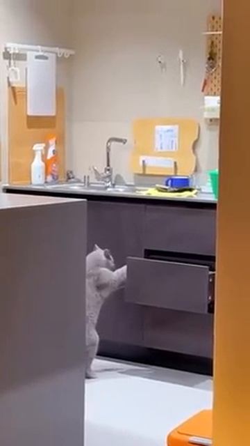 Это не то, что вы подумали