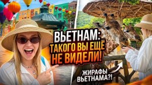 После этой поездки мы поняли, почему миллионы туристов выбирают Вьетнам