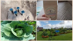 Мариную,готовлю,копаю,пугаю птиц и кротов🤣Деятельная🤣