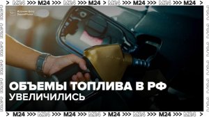 Эксперт заявил, что объемы топлива в РФ увеличились в связи с ремонтом НПЗ - Москва 24