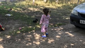 прогулочка