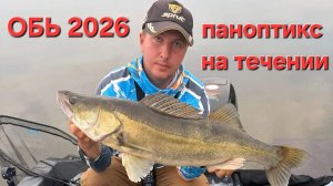 Рыбалка с паноптиксом в коряжнике на р.Обь. ОЛТА Томагавк.