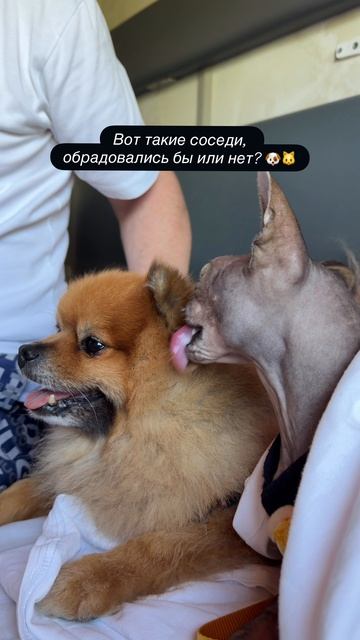 🥹