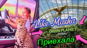 Like Masha приехала в GREEN PLANET Дубай!