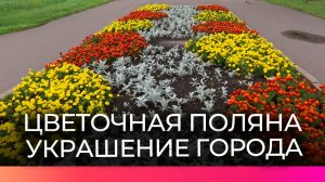 Более 200 тысяч цветов украсили улицы и общественные пространства Великого Новгорода