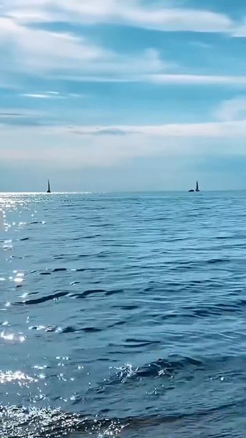 #enigma #deephouse #sea #новосибирск #энигма