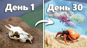 Симуляция Пляжа В Течение 30 Дней