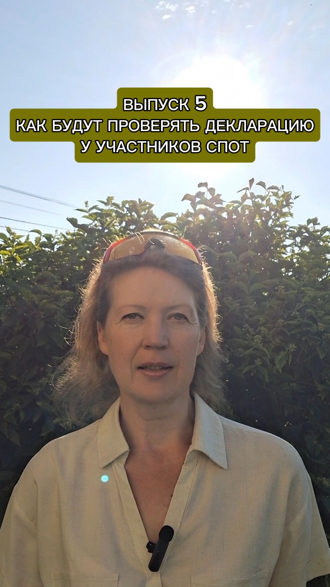 Выпуск № 5: Как будут проверять декларацию у участников СПОТ  (новые рекомендации ФНС)