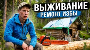 РЕШАЮ КАК НАКАЗАТЬ МЕДВЕДЯ ЗА ПОРЧУ ИЗБУШКИ. ПИЛЮ ДОСКИ БЕНЗОПИЛОЙ