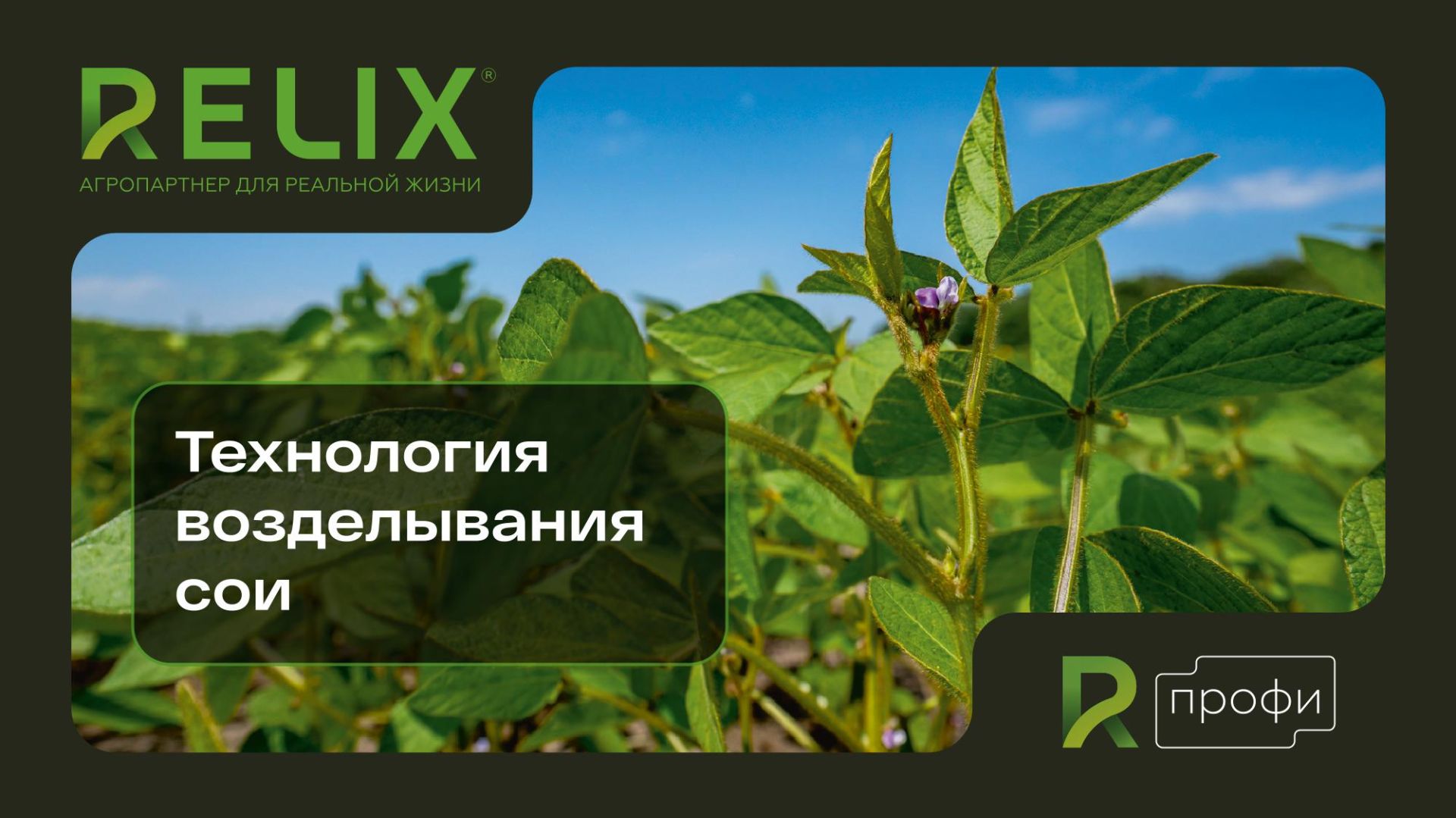 Спецкурс от RELIX профи: видеолекции