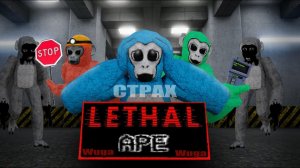 lethal ape последнее видео Apes Recorded в