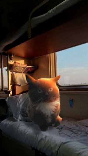 влог
